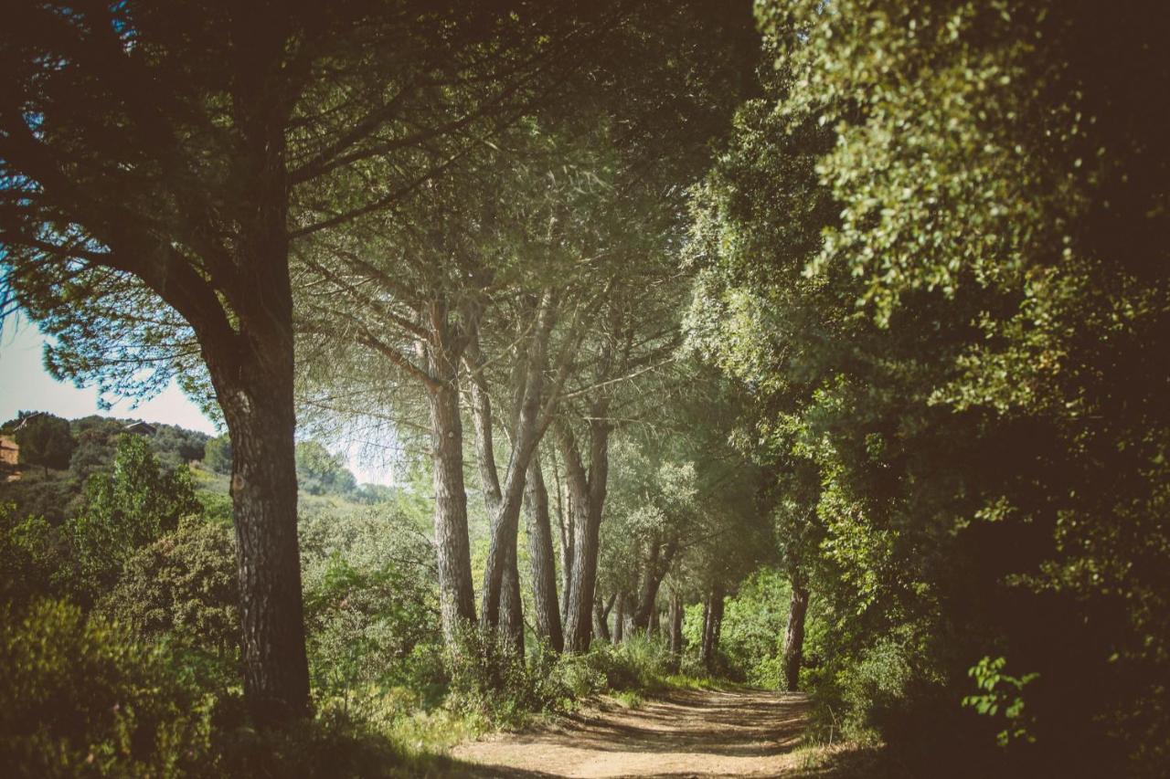 ホテルDomaine Sainte Colombe エクステリア 写真